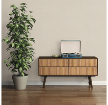 Dekoratives Interieur mit Zimmerpflanze, Kommode und Schallplattenspieler