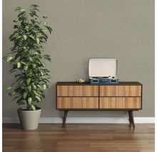 Wohnraum mit Kommode, Zimmerpflanze und Schallplattenspieler