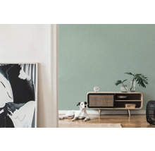 Wohnzimmer mit Lowboard, Zimmerpflanzen, Dekoration und einem Hund