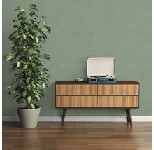 Dekorative Inneneinrichtung mit Kommode, Zimmerpflanze und Schallplattenspieler für eine gemütliche Atmosphäre