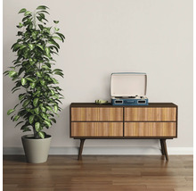 Zimmerpflanze im Topf neben Kommode mit Schallplattenspieler