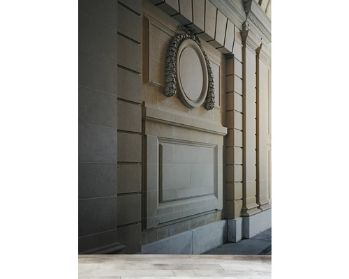 Vue détaillée d''une façade avec des ornements architecturaux