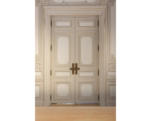 Porte double classique avec moulures et ferrures.