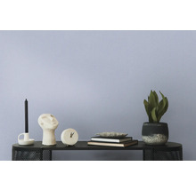 Dekorative Gegenstände wie Kerzenständer, Skulptur, Uhr, Bücher und Topfpflanze auf einem Regal.