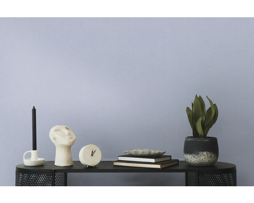 Dekorative Gegenstände wie Kerzenständer, Skulptur, Uhr, Bücher und Topfpflanze auf einem Regal.