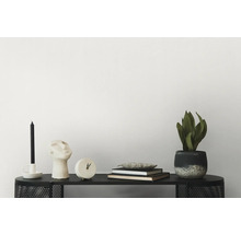 Dekoratives Arrangement mit Kerze, Skulptur, Uhr, Büchern und Topfpflanze auf einem schwarzen Regal