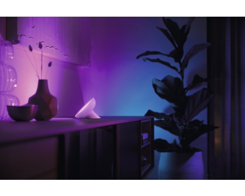 Lampe de table décorative sur un buffet avec une plante en pot