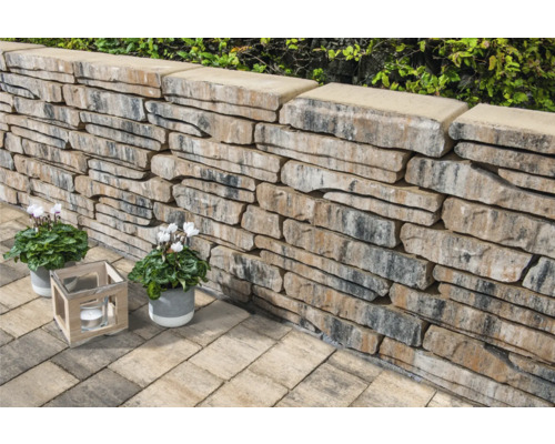 Mur en pierre empilée avec des plantes et une lanterne dans le jardin.