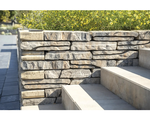 Mur de pierre avec escalier et plantation dans le jardin