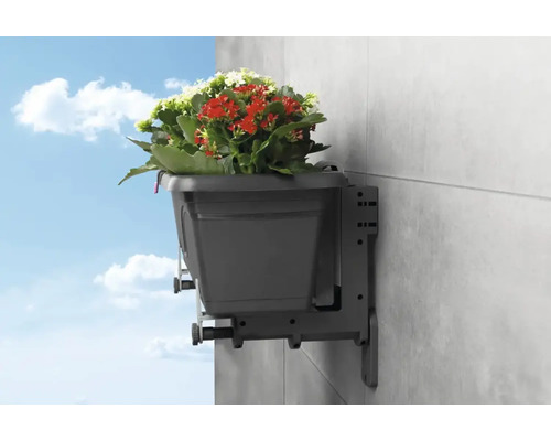 Jardinière grise avec support mural et fleurs colorées