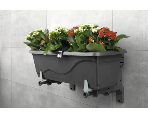 Jardinière murale avec fleurs rouges et blanches