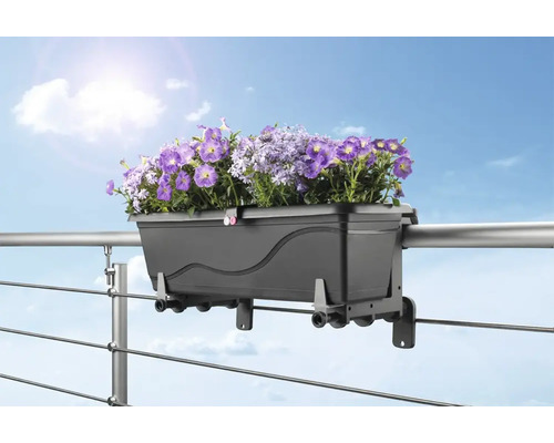 Jardinière avec des fleurs violettes sur une balustrade de balcon