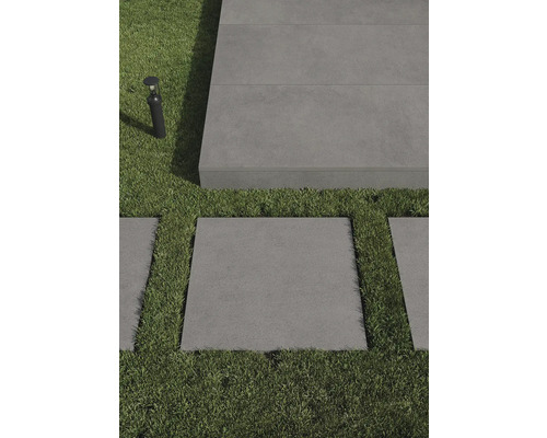 Jardin avec dalles de trottoir et gazon