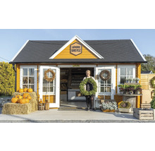Abri de jardin Palmako Claudia 19,4 m² avec plancher 574 x 424 cm gris foncé-anthracite
