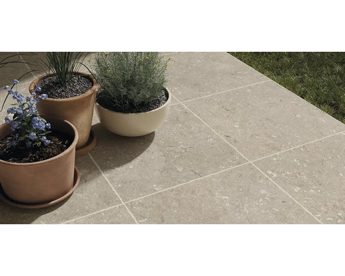 Terrasse avec dalles de sol gris clair et plantes en pots de terre cuite.