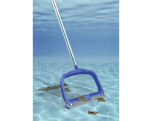 Poolkescher mit Blättern unter Wasser