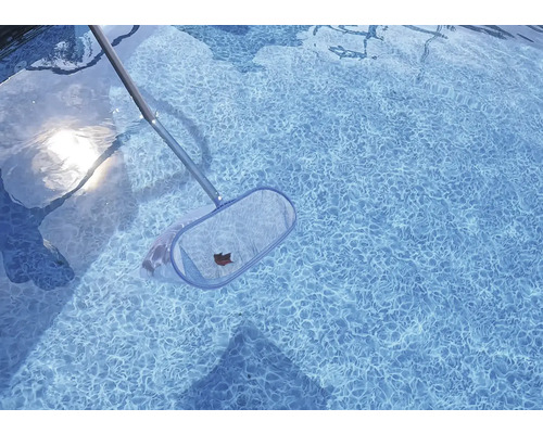 Pool mit Laubfangnetz zur Reinigung von Blättern