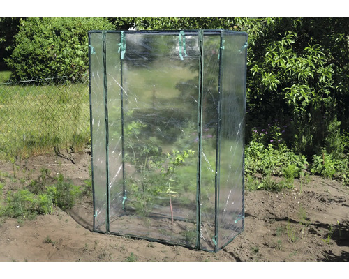 Petite serre en plastique dans le jardin