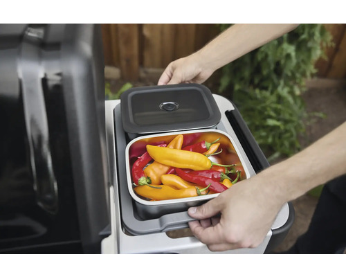 Grill mit Behälter für Grillgut und Deckel