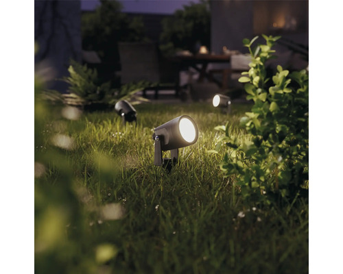 Jardin avec pelouse et plusieurs projecteurs de jardin pour l''éclairage