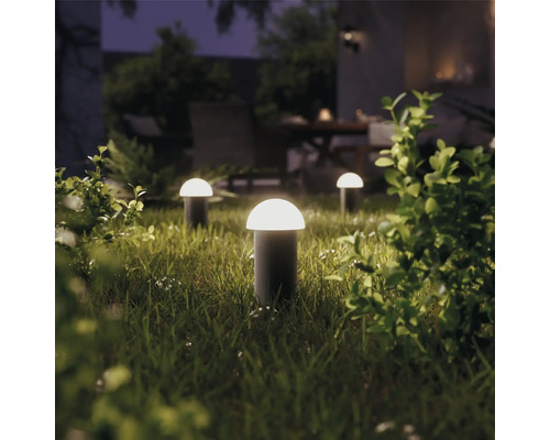 Plusieurs lampes de jardin sur pelouse dans le jardin