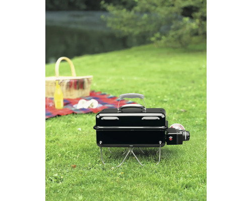 Tragbarer Gasgrill auf einer Wiese mit Picknickdecke und Korb im Hintergrund.