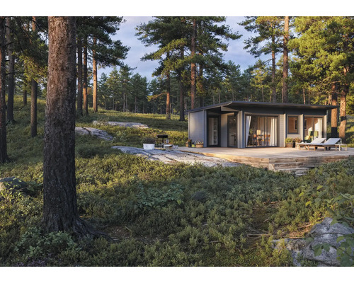 Abri de jardin moderne avec terrasse en bois dans un environnement forestier
