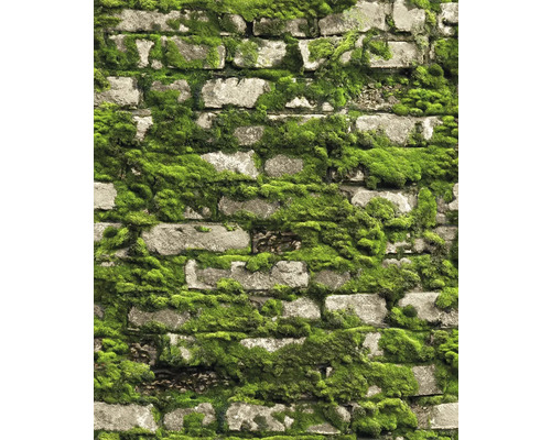 Papier peint intissé 45732 Struktura pierre mousse vert Papier peint en briques avec motif de mousse