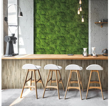 Bar lumineux avec mur de mousse, moulin à café et tabourets de bar pour une ambiance conviviale.