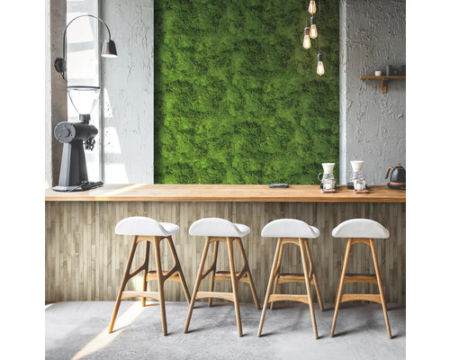 Bar lumineux avec mur de mousse, moulin à café et tabourets de bar pour une ambiance conviviale.