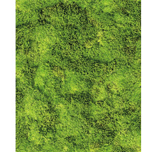 Structure de mousse pour jardin ou décoration