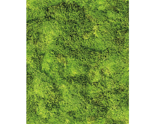 Papier peint intissé 45733 Struktura Mousse vert Structure de mousse pour jardin ou décoration