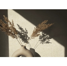 Dekorative Vase mit getrocknetem Schilfgras vor einer Wand