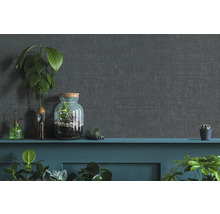 Dekorative Zimmerpflanzen auf einem Sims vor einer grauen Wand