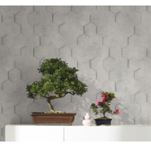 Décoration murale avec panneaux muraux 3D hexagonaux et deux bonsaïs sur une commode blanche