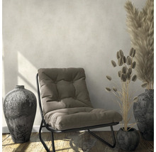 Ambiance d''intérieur avec fauteuil, vases et plantes