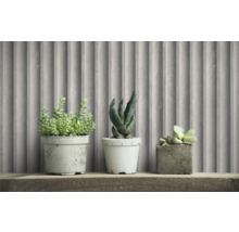 Dekorative Sukkulenten in Betontöpfen auf Holzregal vor Wandpaneelen