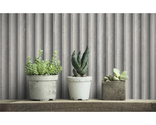 Dekorative Sukkulenten in Betontöpfen auf Holzregal vor Wandpaneelen