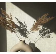 Dekorative Gräser in einer Vase