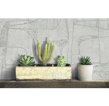 Dekorative Sukkulenten auf einem Holzregal vor einer gemusterten Tapete