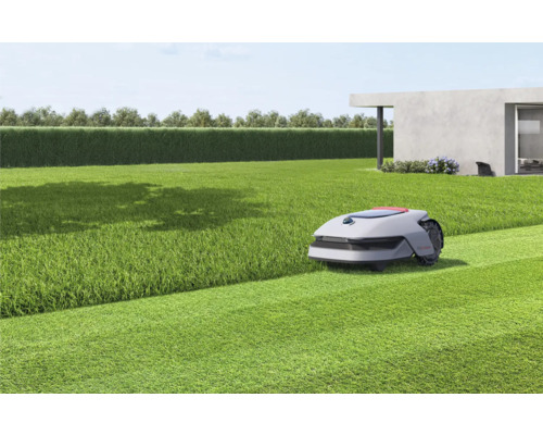 Robot tondeuse entretenant la pelouse dans le jardin.