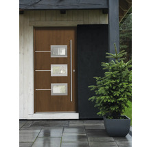 Porte d''entrée avec trois fenêtres et barre de préhension