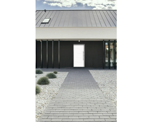 Moderne Hausfassade mit Haustür und gepflastertem Weg