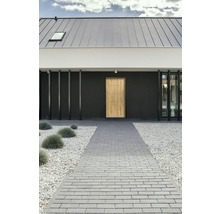 Façade de maison moderne avec porte d''entrée, allée pavée et parterre de gravier