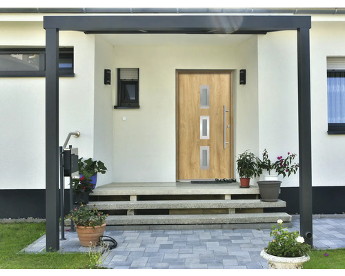 Entrée d''une maison avec porte d''entrée, marches et plantes