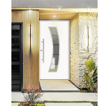Moderne Haustür mit Glaseinsatz und Edelstahlgriff in Fassade