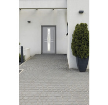 Porte d''entrée moderne avec insert en verre et plante devant une maison