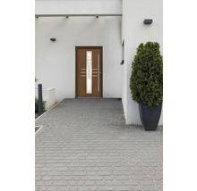Haustür mit Glaselementen und Pflanzkübel vor dem Haus
