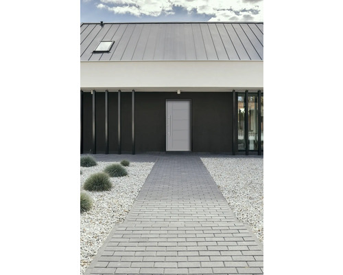 Modernes Haus mit gepflastertem Weg und Haustür
