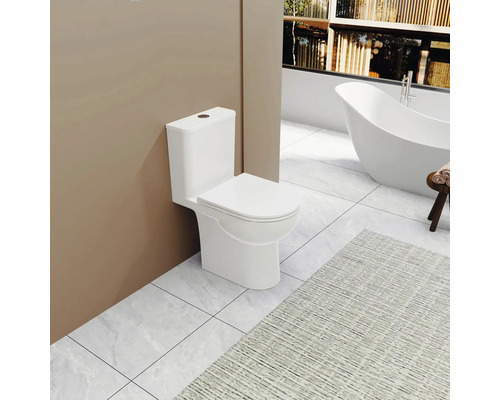 WC sur pied blanc dans salle de bains avec baignoire et tapis